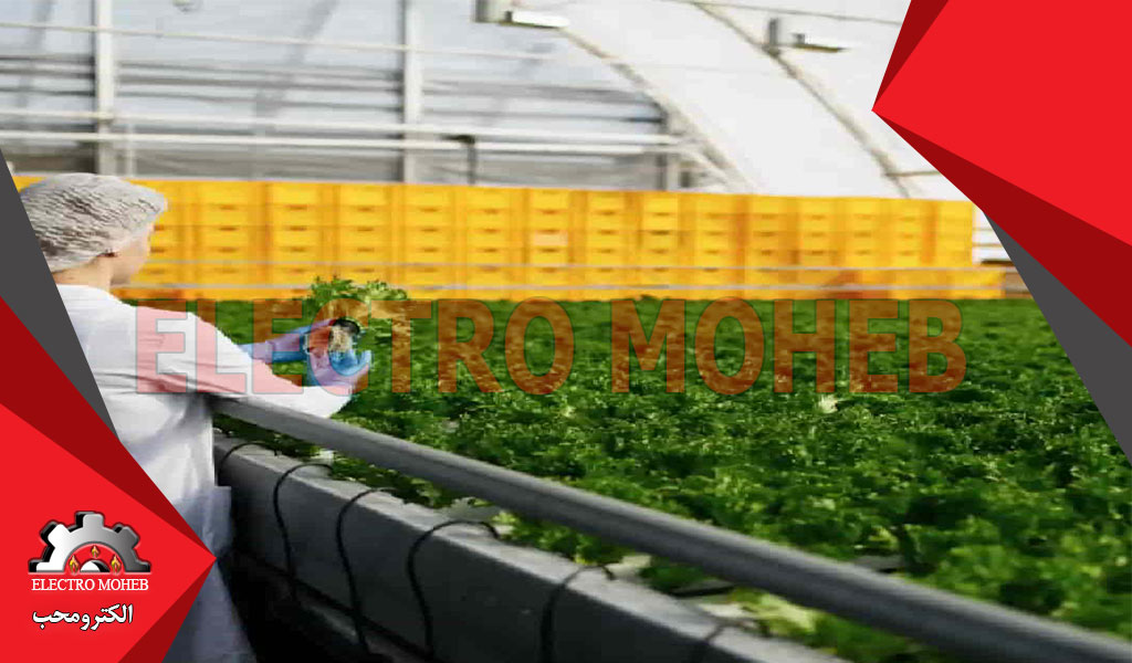 چرا از المنت در صنایع غذایی استفاده کنیم؟